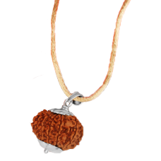 12 Mukhi Rudraksha Nepal Silver Capped Pendant in Thread 28mm-29mm