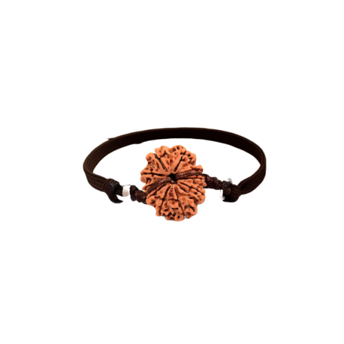 13 Mukhi Rudraksha Nepal Bracelet in Thread Large 28mm-29mm