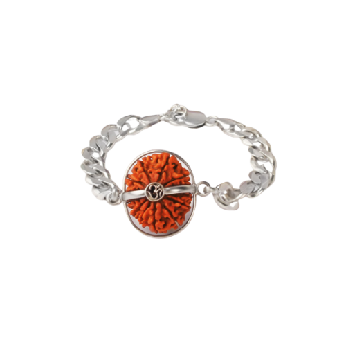 13 Mukhi Rudraksha Nepal  Silver Bracelet in Silver Chain Large 28mm-29mm