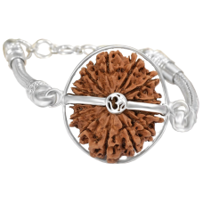 13 Mukhi Rudraksha Nepal  Silver Bracelet in Silver Snake Chain Small 20mm-24mm