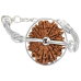 13 Mukhi Rudraksha from Nepal - Small (20mm-24mm)