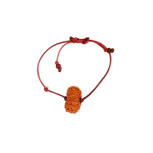 14 Mukhi Rudraksha Nepal  Bracelet in Thread 28mm-29mm