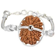 14 Mukhi Rudraksha Nepal  Silver Bracelet in Snake Chain 24mm-26mm