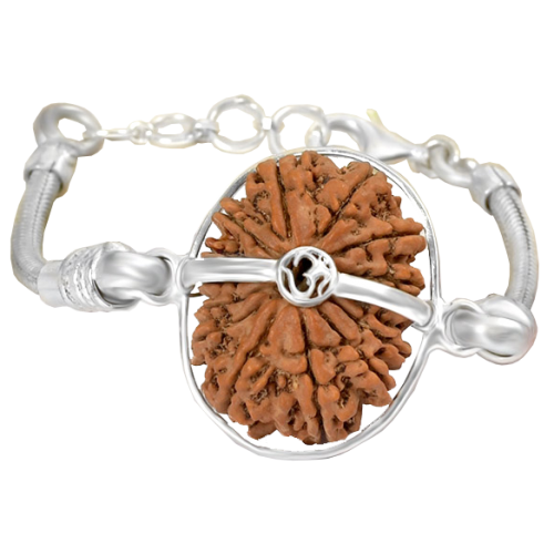 14 Mukhi Rudraksha Nepal  Silver Bracelet in Snake Chain 24mm-26mm