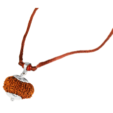 15 Mukhi Rudraksha Nepal Silver Capped Pendant in Thread 24mm-27mm