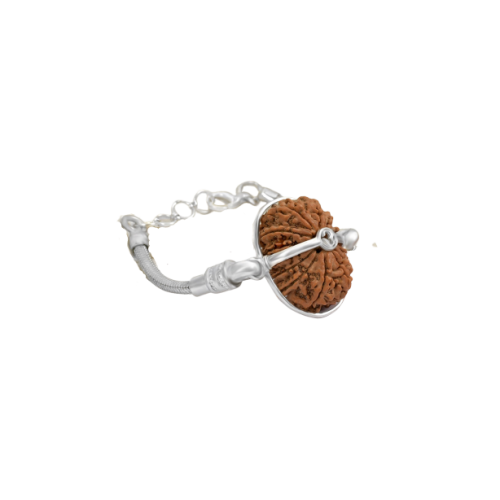 16 Mukhi Rudraksha Nepal  Silver Bracelet in Silver Snake Chain Small 24mm