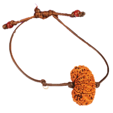 16 Mukhi Rudraksha Nepal Bracelet in Thread Small 24mm