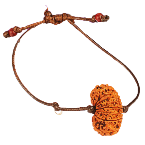 16 Mukhi Rudraksha Nepal Bracelet in Thread Medium 27mm