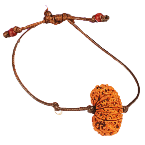 17 Mukhi Rudraksha Nepal Bracelet in Thread Medium 28mm-29mm-31mm