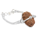 17 Mukhi Rudraksha Nepal Silver Bracelet in Snake Silver Chain Medium 28mm-29mm-31mm