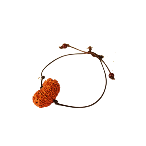 18 Mukhi Rudraksha Nepal  Bracelet in Thread 28mm