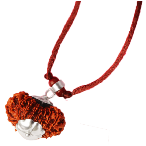 19 mukhi rudraksha Nepal Silver Capped Pendant in Thread 28mm-30mm