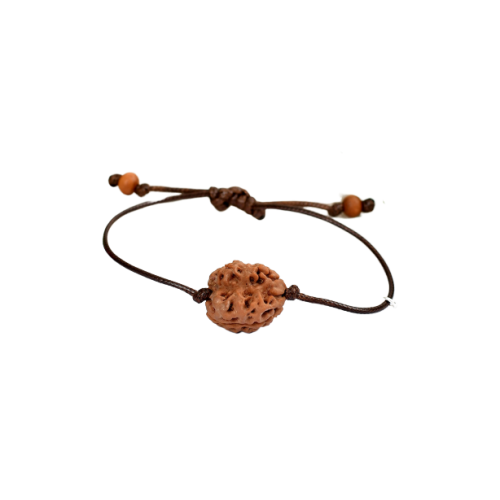 2 Mukhi Rudraksha Nepal Bracelet in Silk Thread - 20mm