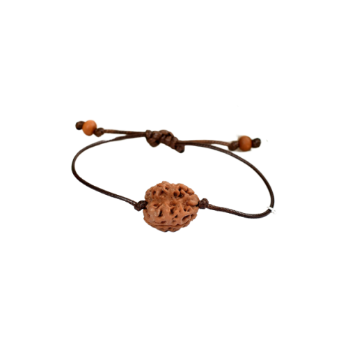 2 Mukhi Rudraksha Nepal Bracelet in Silk Thread 16mm