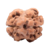 2 Mukhi Rudraksha from Nepal - Small 16mm