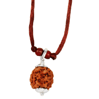 3 Mukhi Rudraksha Nepal Pendant Capped in Silver with Thread - 18mm