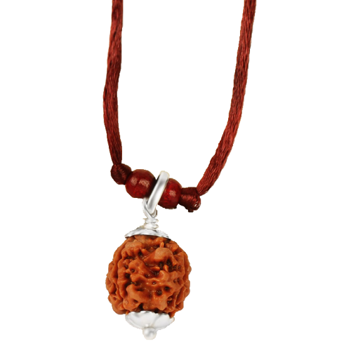 3 Mukhi Rudraksha Nepal Pendant Capped in Silver with Thread - 18mm