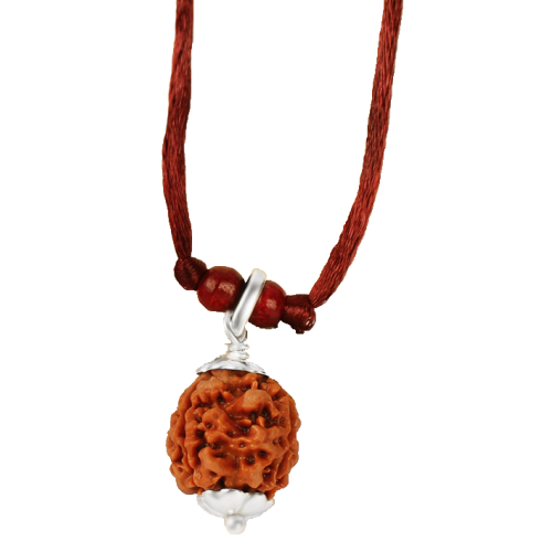 3 Mukhi Rudraksha Nepal Pendant Capped in Silver with Thread - 20mm