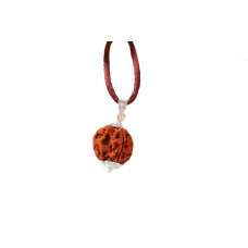 4 Mukhi Rudraksha Nepal in Pendant with Silver Capping with Thread Large - 20mm