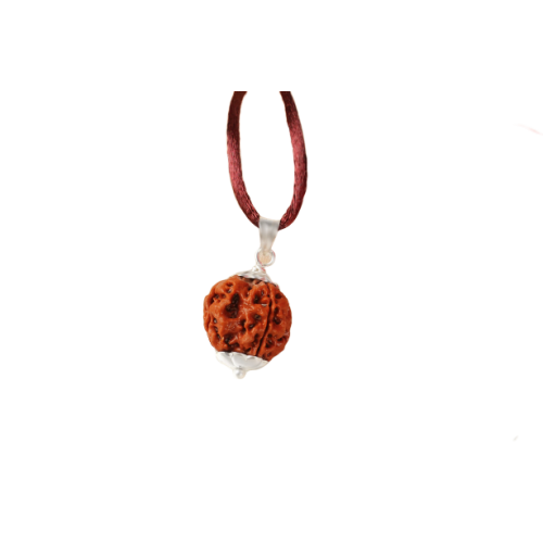 4 Mukhi Rudraksha Nepal in Pendant with Silver Capping with Thread Small  - 15mm