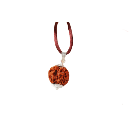 4 Mukhi Rudraksha Nepal in Pendant with Silver Capping with Thread Large - 20mm