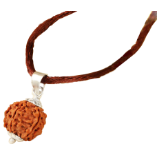 5 Mukhi Rudraksha Nepal Silver Capping Small 15mm