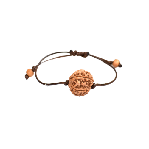 6 Mukhi Rudraksha Nepal in Thread Medium - 18mm 