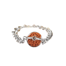 6 Mukhi Rudraksha Nepal Bracelet with Silver Chain - 18mm