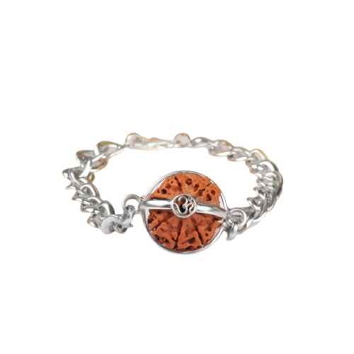 6 Mukhi Rudraksha Nepal Bracelet with Silver Chain - 15mm