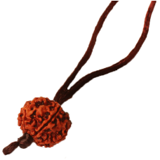 7 mukhi rudraksha Nepal silk thread small 15mm