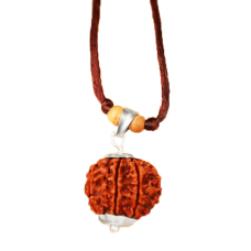 7 mukhi rudraksha Nepal Silver Pendant with Thread Small 15mm