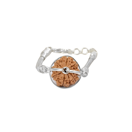 8 Mukhi Rudraksha Nepal Silver Bracelet in Snake Silver Chain Extra Large