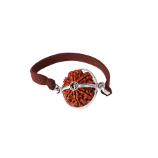 9 Mukhi Rudraksha Nepal Silver Capped Bracelet in Thread Small - 22mm