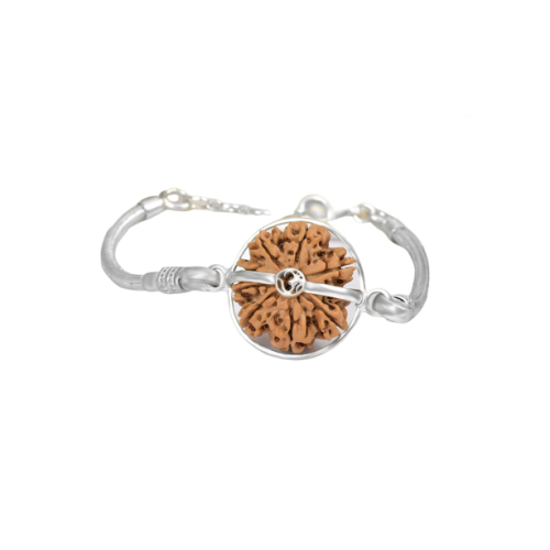 9 Mukhi Rudraksha Nepal Silver Bracelet in Snake Silver Chain Large - 27mm