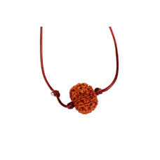 9 Mukhi Rudraksha Nepal in Thread Large - 27mm