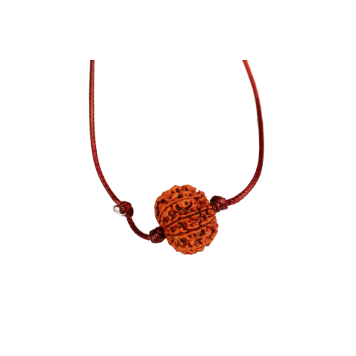 9 Mukhi Rudraksha Nepal in Thread Large - 27mm