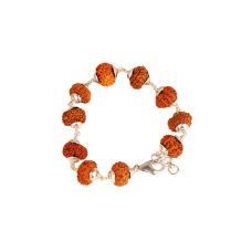 11 Mukhi Rudraksha bracelet - Java in Silver Capping