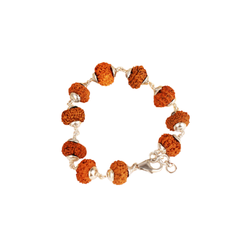 11 Mukhi Rudraksha bracelet - Java in Silver Capping