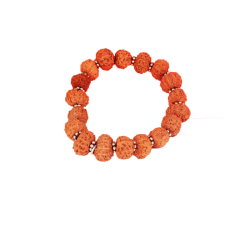 11 Mukhi Rudraksha bracelet - Java in Silver Spacer