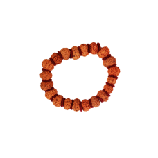 11 Mukhi Rudraksha bracelet - Java in Woolen Spacer