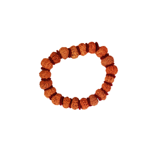 11 Mukhi Rudraksha bracelet - Java in Woolen Spacer