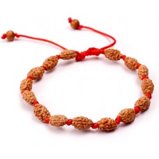 2 Mukhi Rudraksha Moon Bracelet  Java in Silk Thread