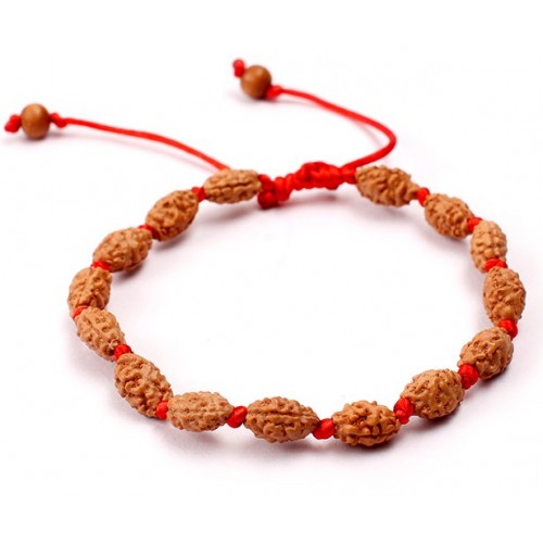 2 Mukhi Rudraksha Moon Bracelet  Java in Silk Thread