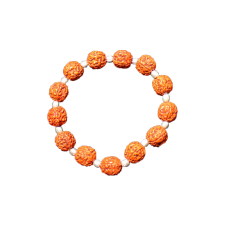 Punch Mukhi Rudraksha Bracelet (Chikna Bead) - VI