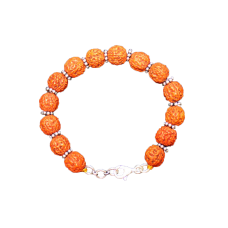 Punch Mukhi Rudraksha Bracelet (Chikna Bead) - VII