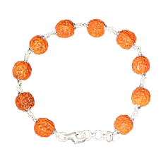 Punch Mukhi Rudraksha Bracelet (Chikna Bead) - IX