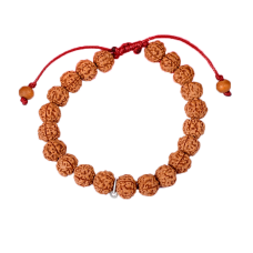 Rare 5 Mukhi Rudraksha Semi Chikna Bracelet in Silk Thread-10mm