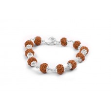 7 Mukhi Rudraksha Goddess Laxmi  Bracelet Java Silver Flower Capping - 12mm