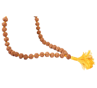Rudraksha Mala 8mm - Chikna beads