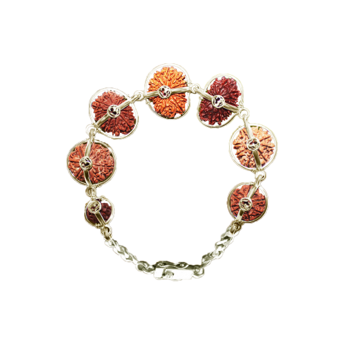 Sanjeevani Bracelet - Nepal Large Silver Clasp